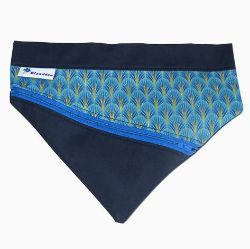 Image de Bandeau pour chien