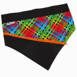 Image de Bandeau pour chien
