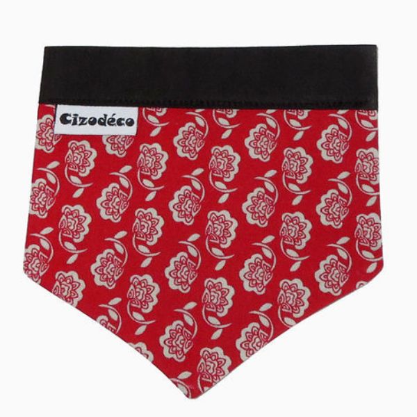 Image sur Bandeau pour chien