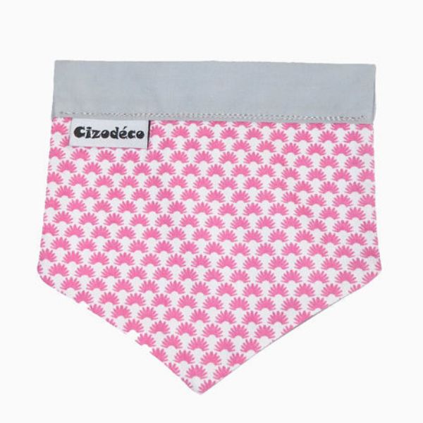 Image sur Bandeau pour chien