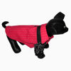 Picture of Shirt  for Small Breed dogs - M