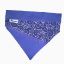 Image de Bandeau pour chien